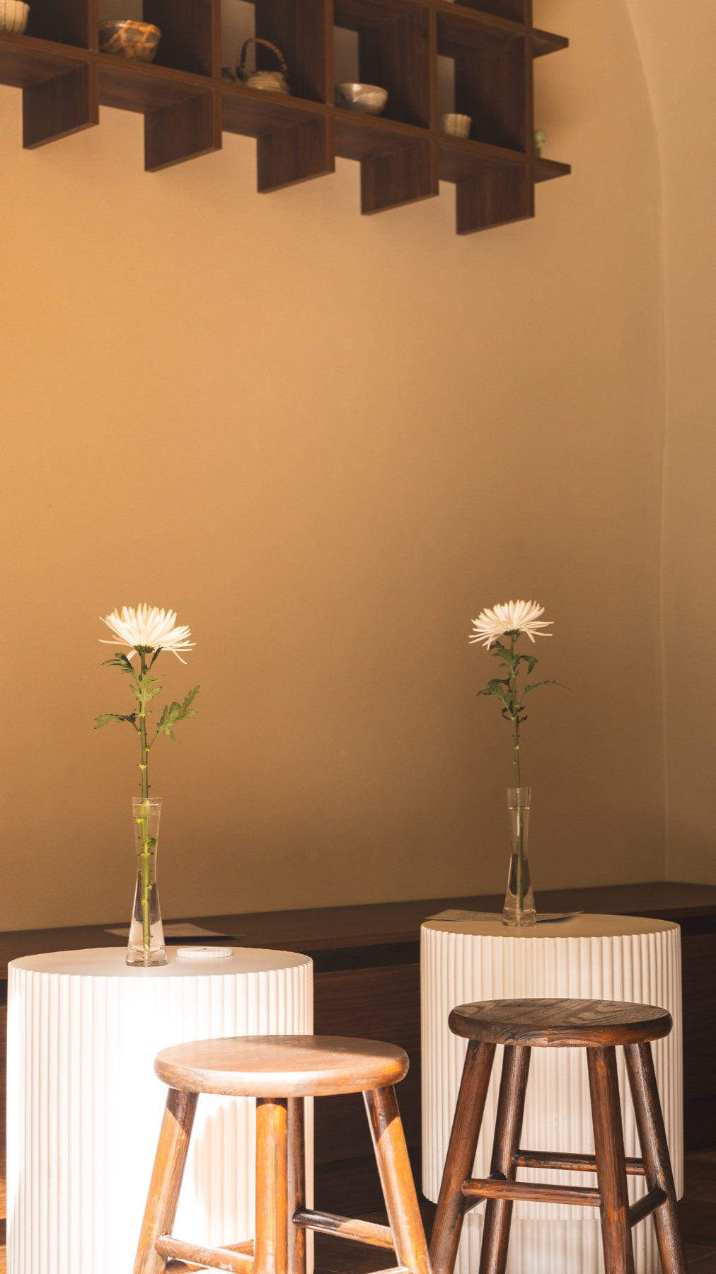 Chrysanthemums on the tables